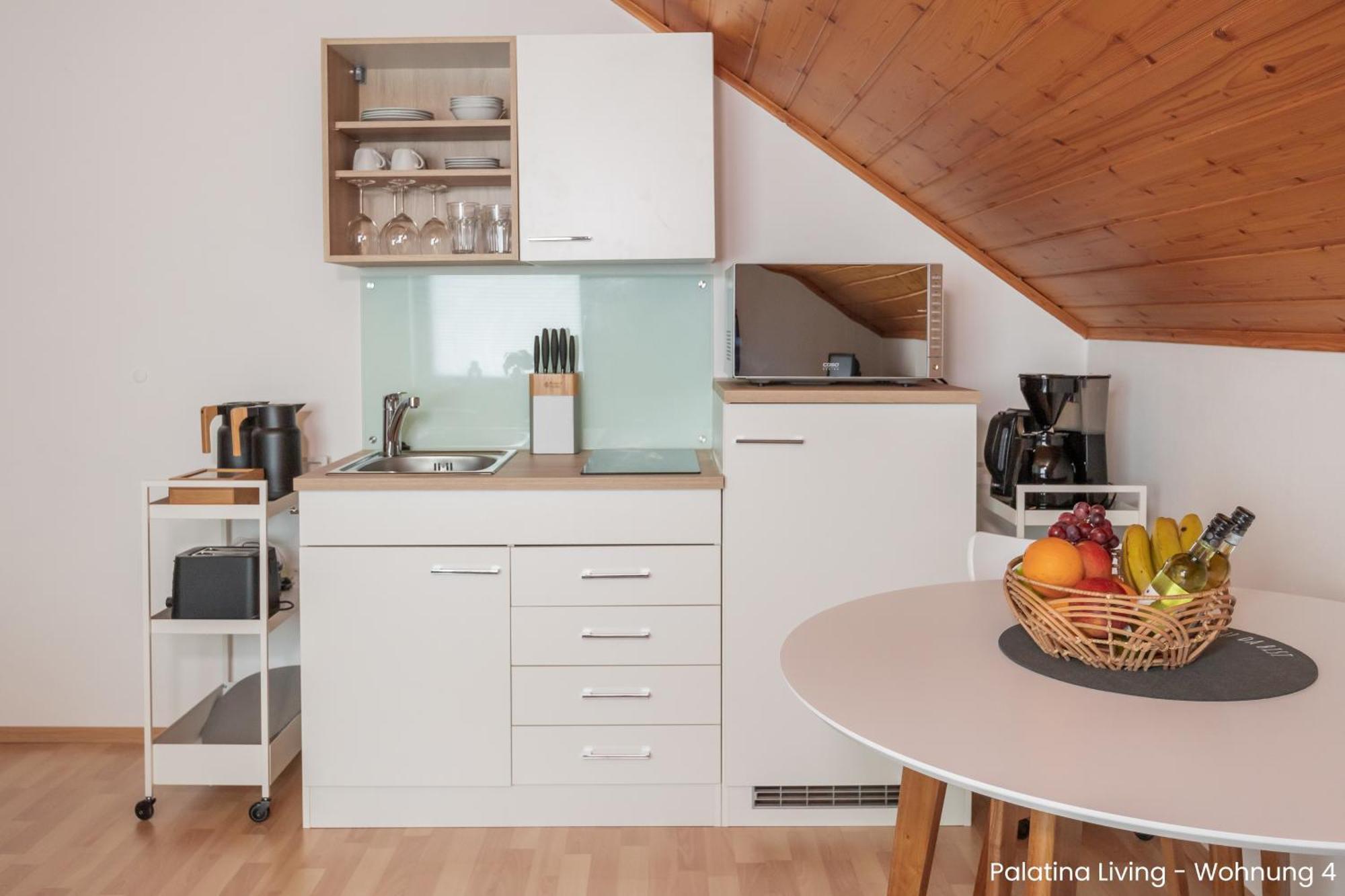 Palatina Living Apartment Fischbach Exterior foto