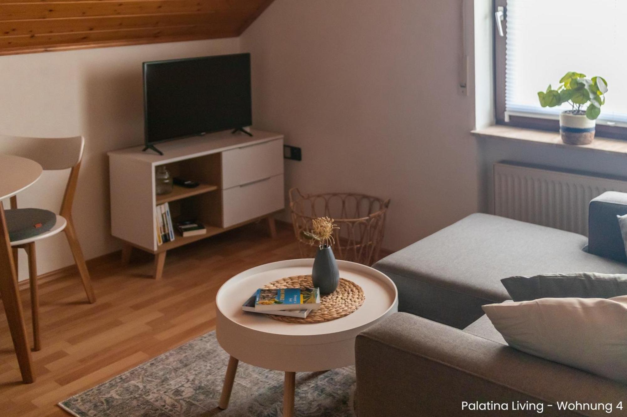 Palatina Living Apartment Fischbach Exterior foto