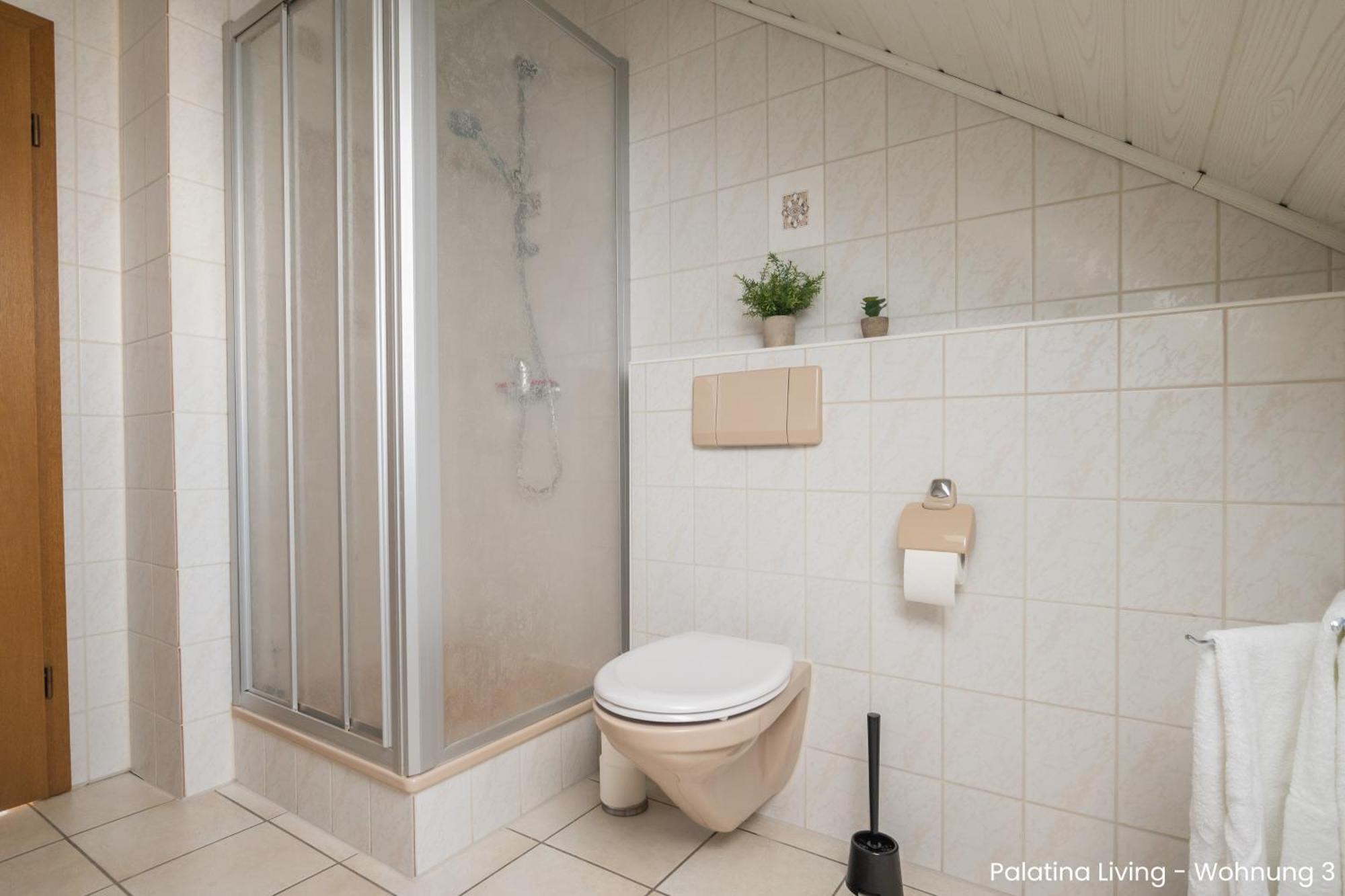 Palatina Living Apartment Fischbach Exterior foto