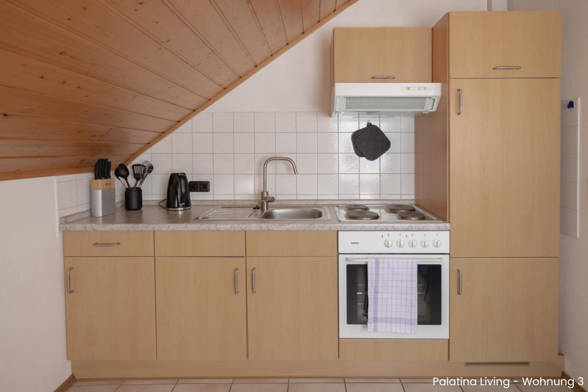 Palatina Living Apartment Fischbach Exterior foto