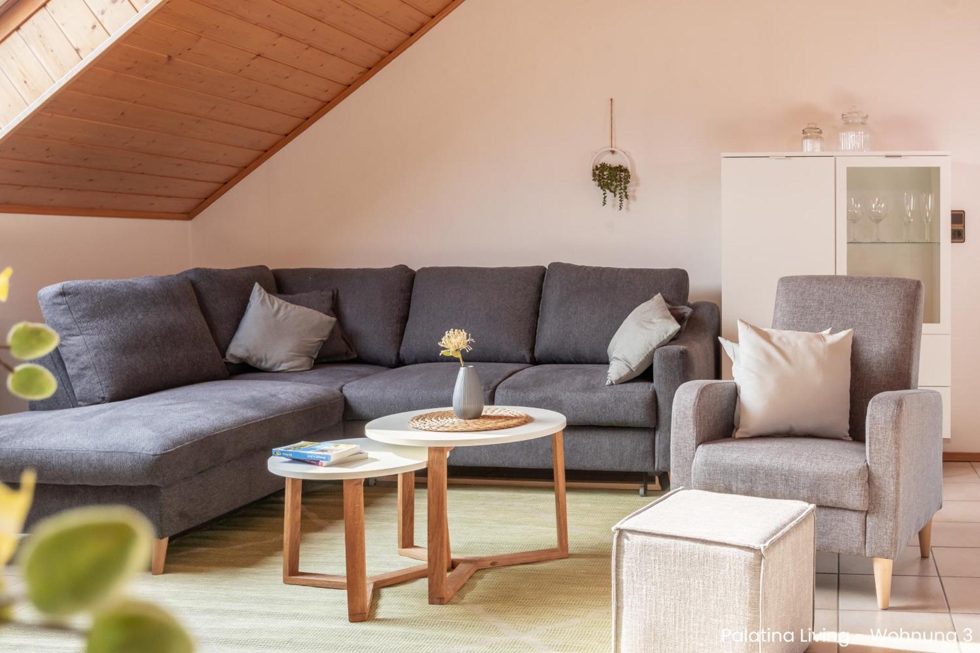 Palatina Living Apartment Fischbach Exterior foto