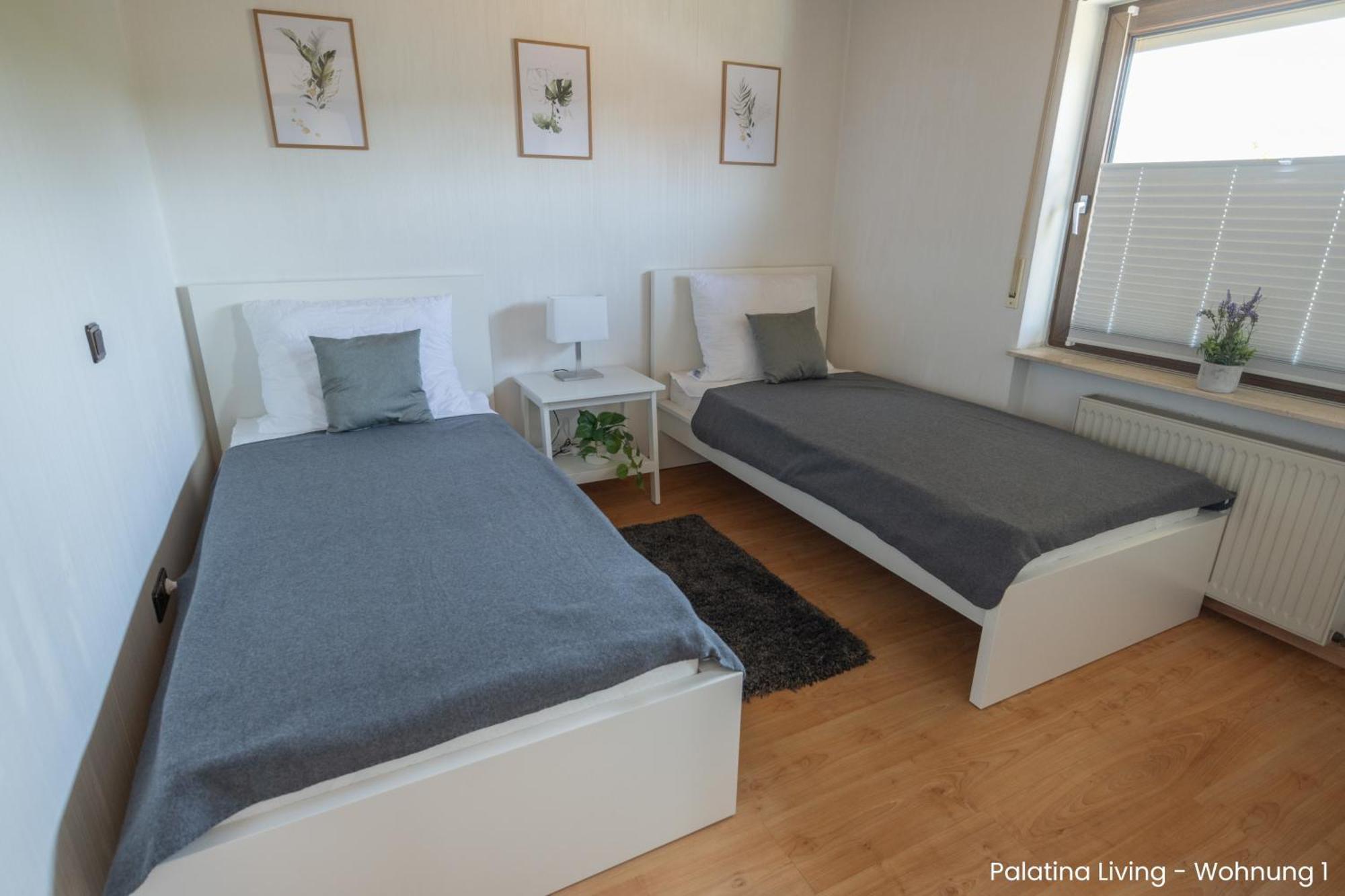 Palatina Living Apartment Fischbach Exterior foto