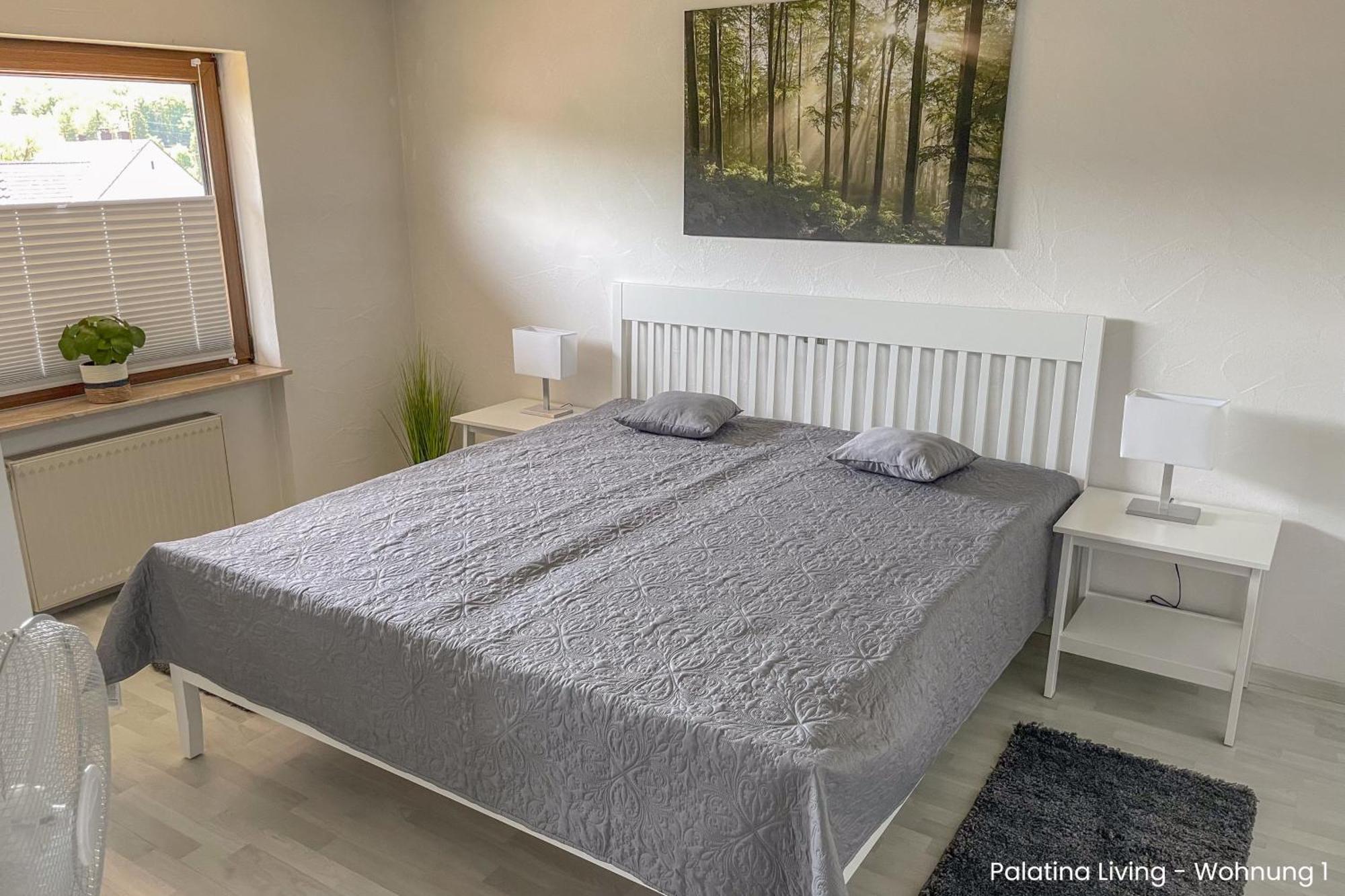 Palatina Living Apartment Fischbach Exterior foto