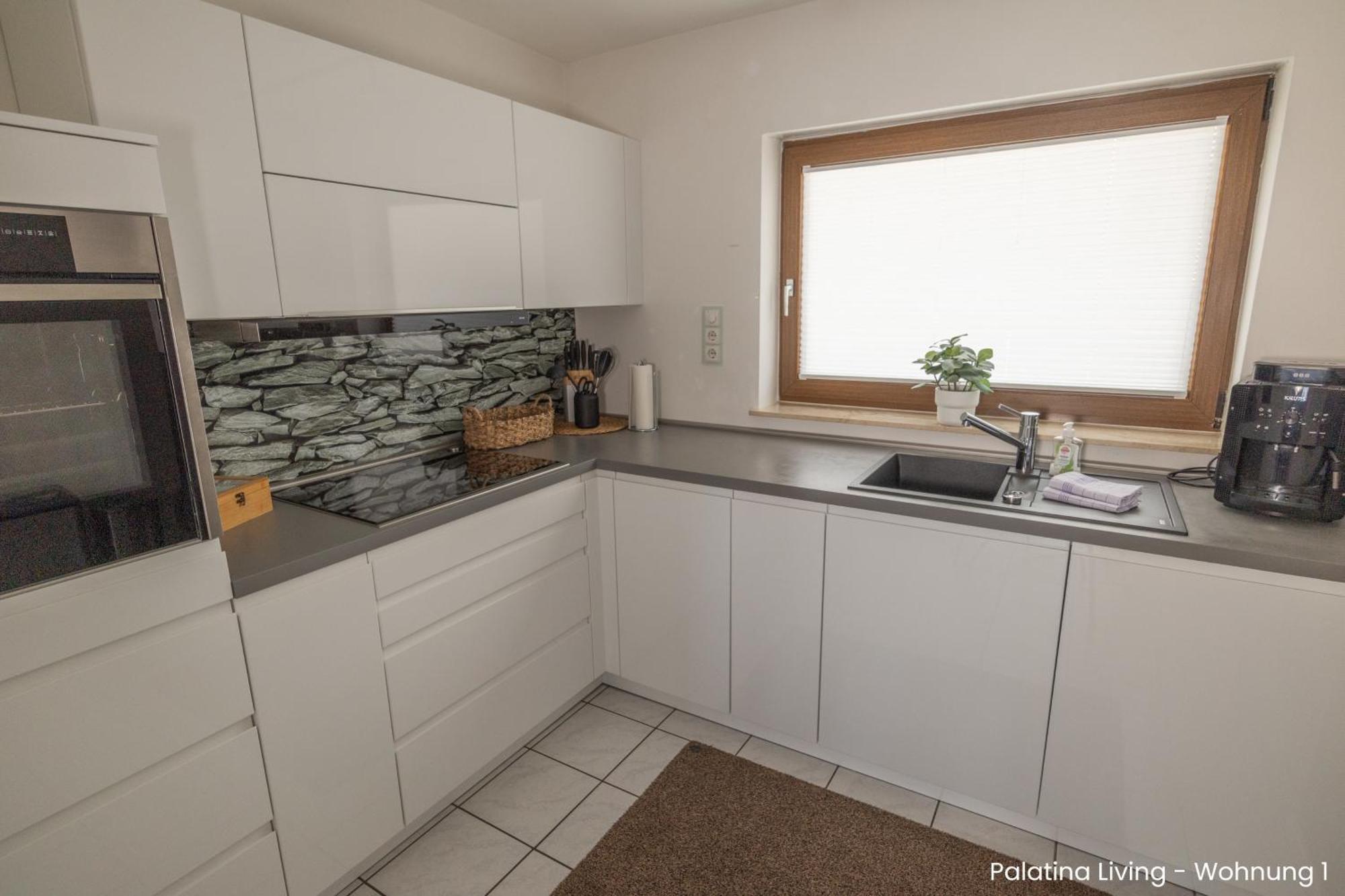 Palatina Living Apartment Fischbach Exterior foto